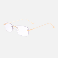 Clear Lenses / Gold Frame