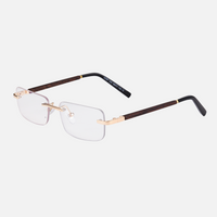 Transparant Lenses / Wooden Frame