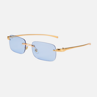 Blue Lenses / Gold Frame