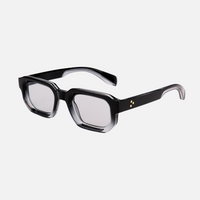 Light Grey Lenses / Black White Frame