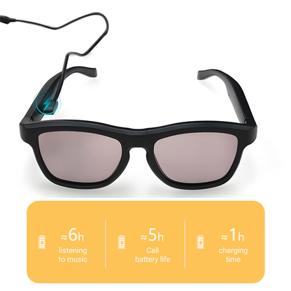 NEOVIEW™ AI WAYFARER