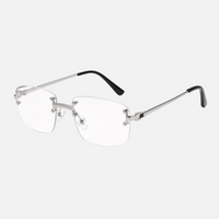 Clear Lenses / Silver Frame